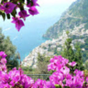 Meet your Posher, Lilli